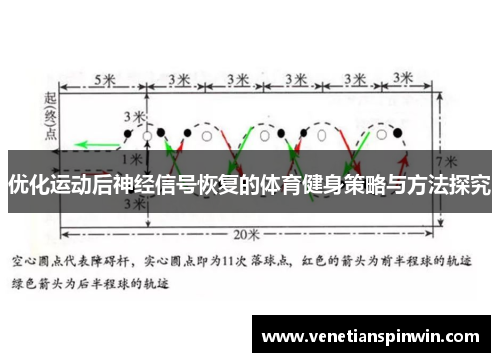 优化运动后神经信号恢复的体育健身策略与方法探究