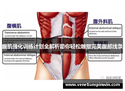 腹肌强化训练计划全解析助你轻松雕塑完美腹部线条